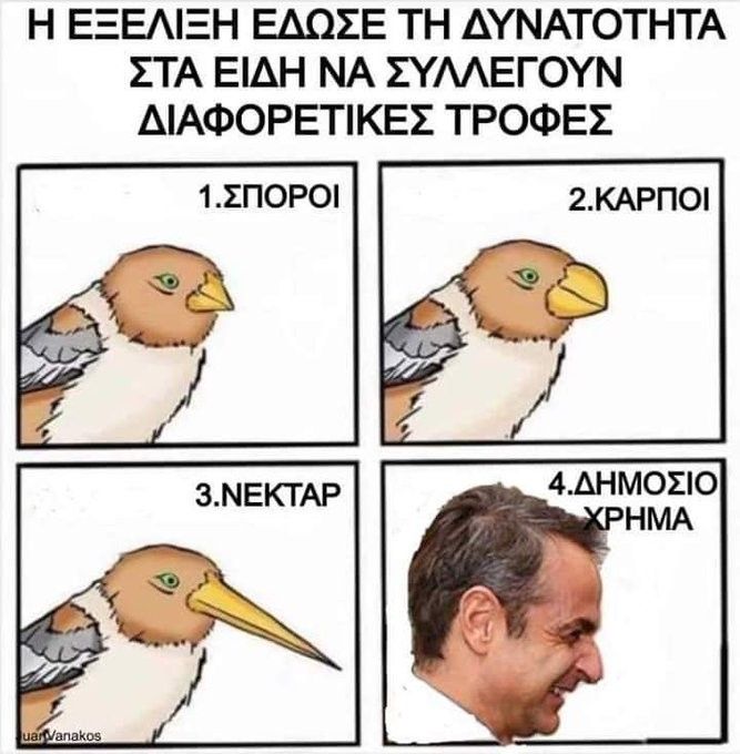 ραμφ.jpg