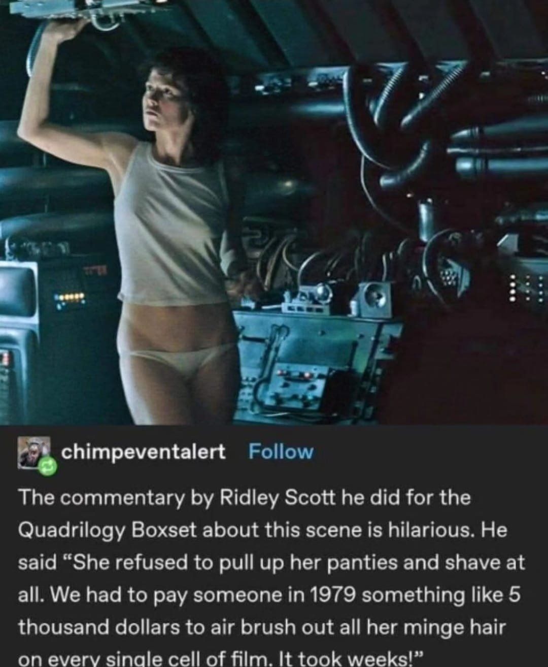 ripley.jpg