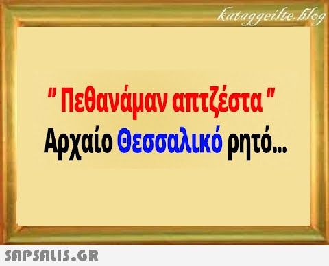 IMG_3168.jpeg