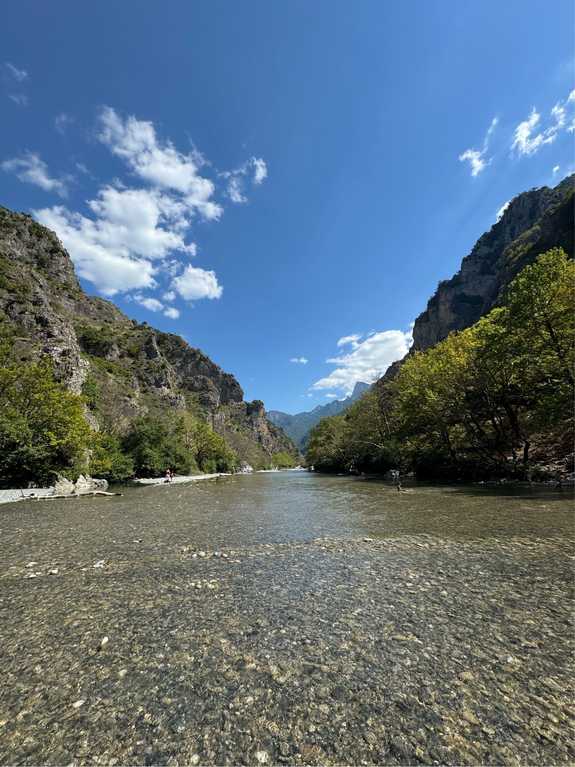 IMG_3901.jpeg