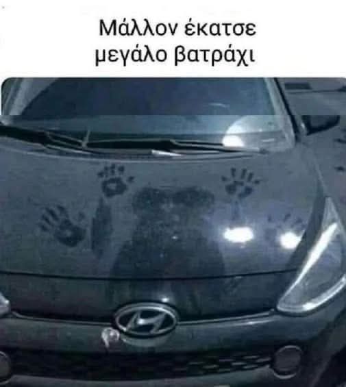 IMG_1591.jpeg